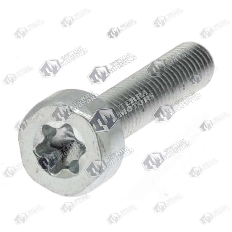 Prezon cilindru drujba Stihl 361, 341, 360, 340, 380, 381, 034, 036, 038, 042, 048, TS 400, TS 510, TS 760, FS 75, FS 160 (M5x25) 